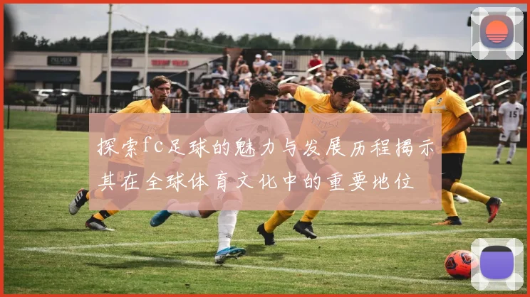 探索fc足球的魅力与发展历程揭示其在全球体育文化中的重要地位