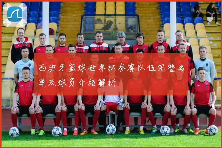 西班牙篮球世界杯参赛队伍完整名单及球员介绍解析