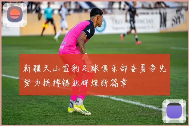 新疆天山雪豹足球俱乐部奋勇争先努力拼搏铸就辉煌新篇章